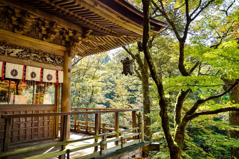 Magical Destinations
